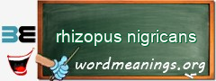 WordMeaning blackboard for rhizopus nigricans